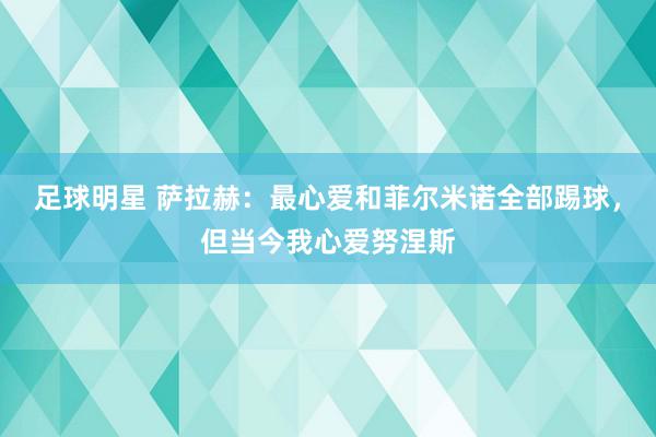 足球明星 萨拉赫：最心爱和菲尔米诺全部踢球，但当今我心爱努涅斯