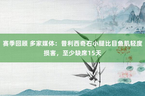 赛季回顾 多家媒体：普利西奇右小腿比目鱼肌轻度损害，至少缺席15天