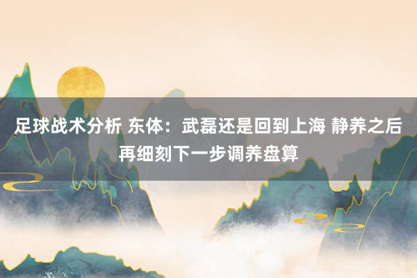 足球战术分析 东体：武磊还是回到上海 静养之后再细刻下一步调养盘算